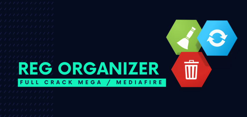 Reg Organizer Full Descargar Gratis por Mega