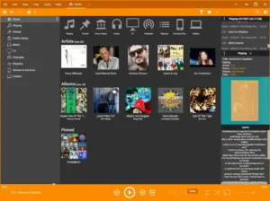 Gestión de biblioteca musical con MediaMonkey Gold Full
