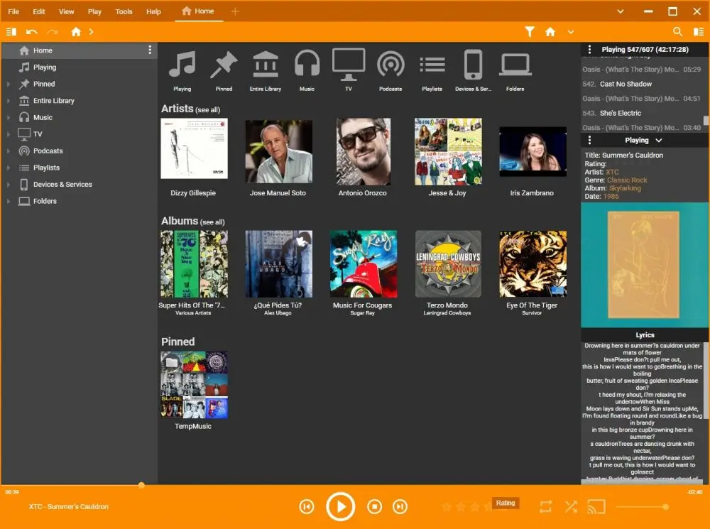 Gestión de biblioteca musical con MediaMonkey Gold Full