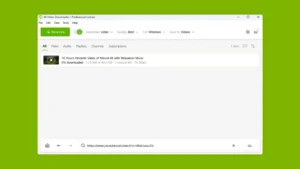 4k-video-downloader-plus-descarga-playlist-youtube